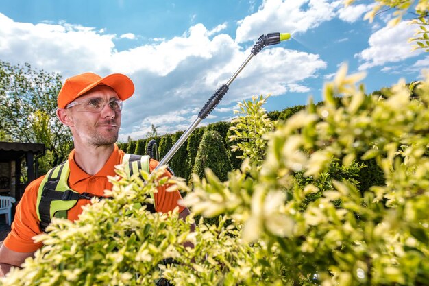 Фото Садовник распыляет деревья, используя пестициды, борется с насекомыми.