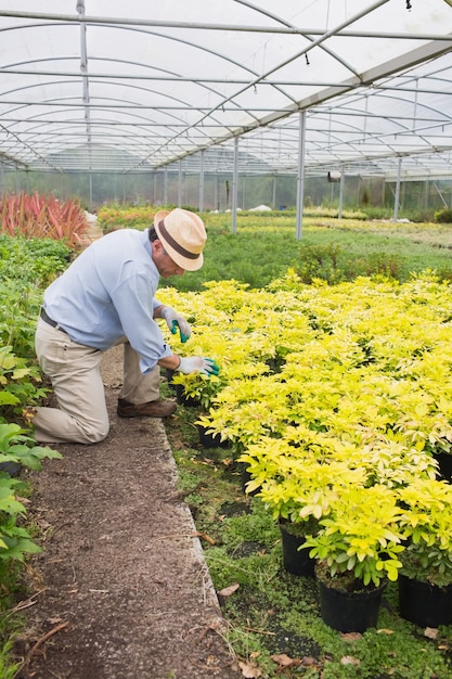 Gardener tending to plants 