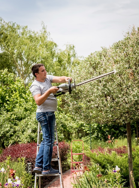 Photo a gardener trimming trees with hedge trimmer