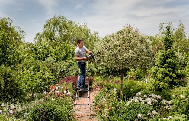 A gardener trimming trees with hedge trimmer