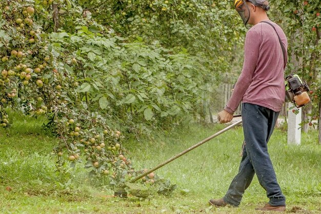 庭師は庭で緑の草を刈る機械を使用しています。庭の機器。若い男がトリマーで草を刈る