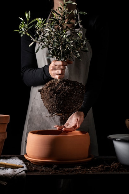 Foto giardiniere con grembiule piantare albero vista frontale