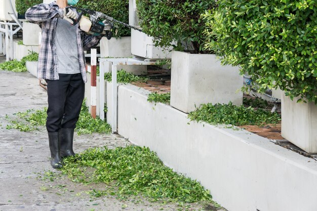 Gardener with his gasoline hedge trimmer in action