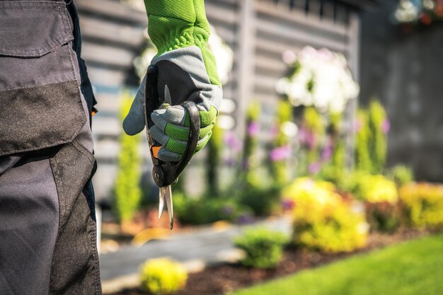 Photo gardener with scissors closeup photo gardening and landscaping industry theme