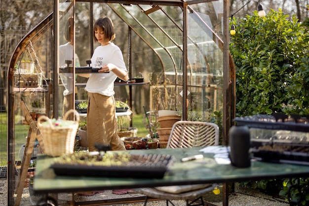 Gardener with a seedling tray in greenhouse