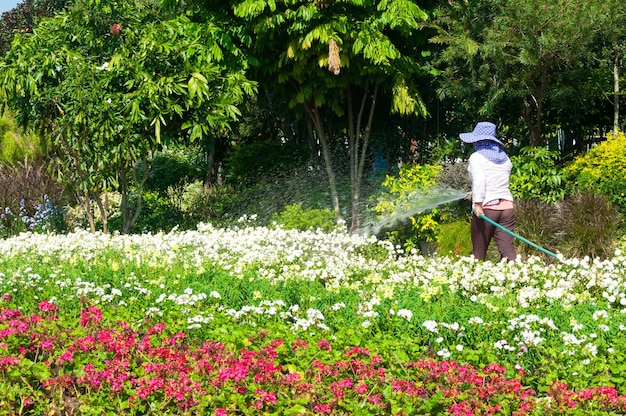 庭師の女性は、屋外の花の庭に水をまく植物のスプリンクラー ホースを保持します。