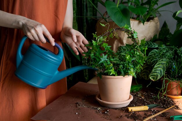 温室で鉢植えの植物に水をまくオレンジ色のドレスの庭師の女性