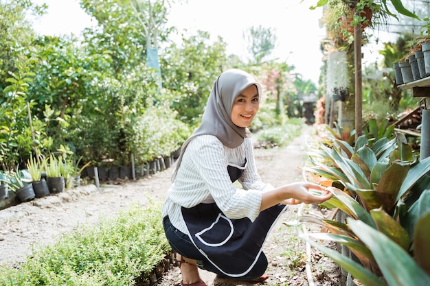 Gardener at work, take care of green plants