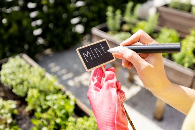 Nome di scrittura del giardiniere delle erbe su un piatto