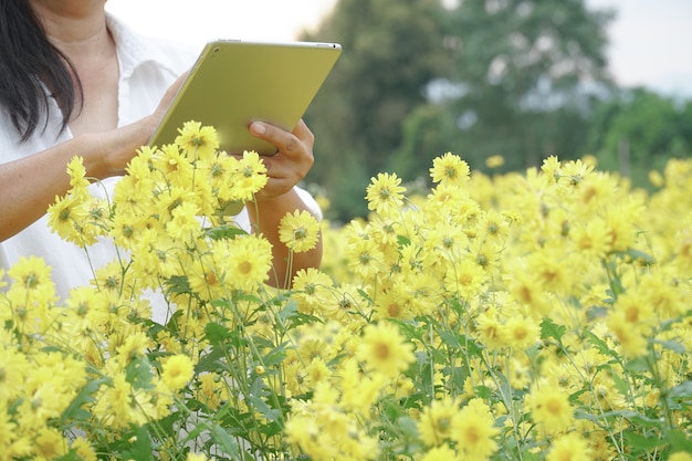 庭師は花畑で害虫や病気をチェックしています