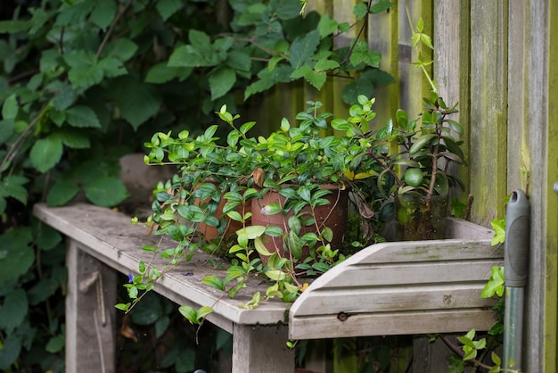 Gardeners corner The private spot of the Gardener the beauty of garderning