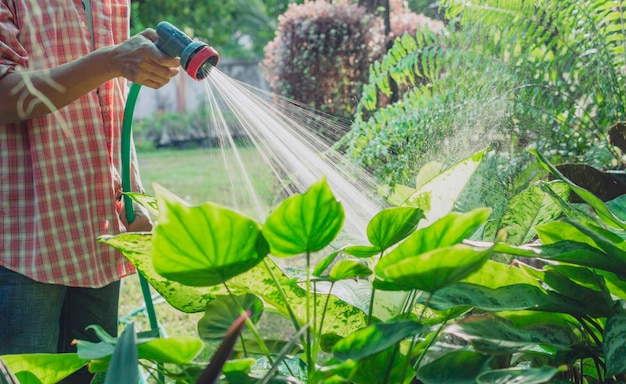 写真 庭師が庭で植物に水をまく ホーム ガーデン コンセプト