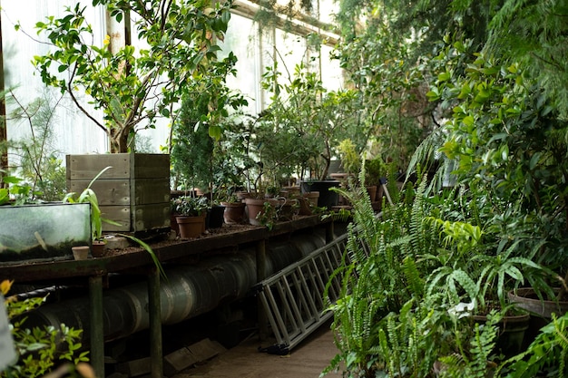 Foto posto di lavoro dei giardinieri nella cura delle piante del giardino botanico