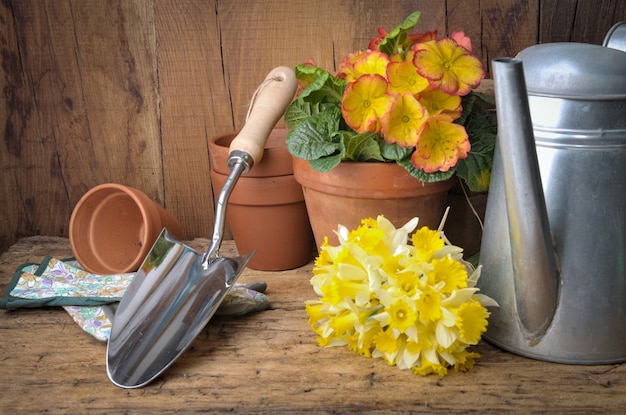 gardening arrangement with tools and bouquet of daffodils on  wooden background