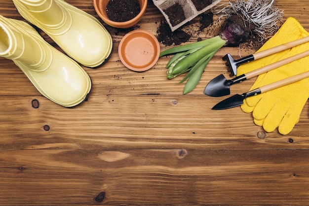 Gardening background Hyacinth and primula flowers with garden tools on the wooden background