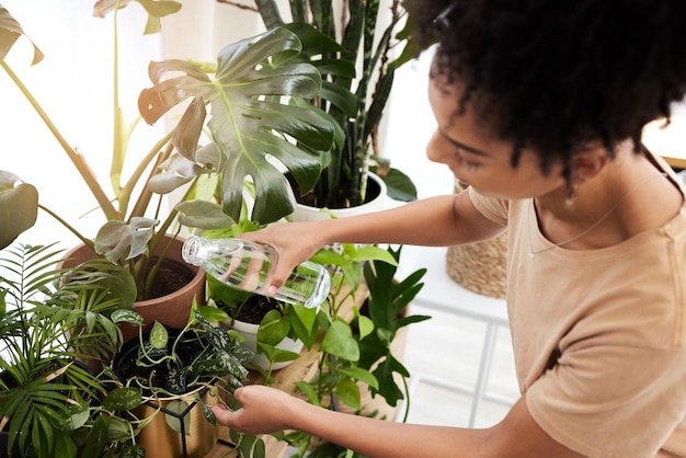 Photo gardening black woman and water plants at home for agriculture sustainability eco friendly gardener and green energy ecology garden nature and girl working in flower environment for plant growth