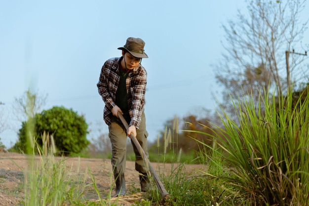 Gardening concept a male farmer using a hoe digging to the soil for making vegetable plots preparing for growing the plants.