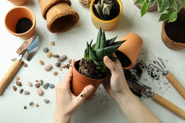 Gardening concept on white textured background