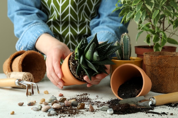 Gardening concept on white textured table, close up