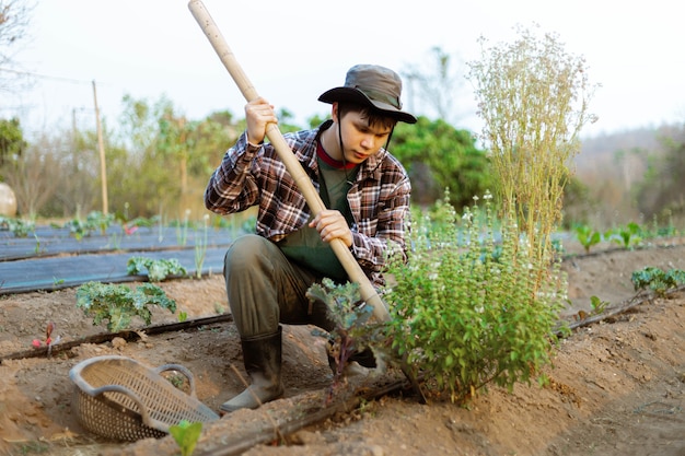 Gardening concept a young farmer shoveling the dirt around the plants to let oxygen get through the roots easily.