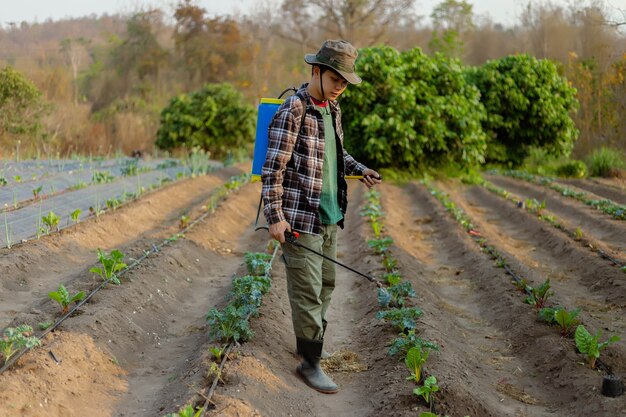 Gardening concept a young male farmer spraying a chemical pesticide for preventing the crops from the pests.