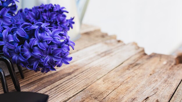 Gardening hobby concept. blue purple hyacinth flower blossom,\
small garden pitchfork or rake and shovel on old wooden table\
background