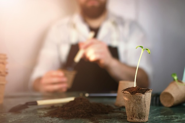 Gardening at home hand sprout table