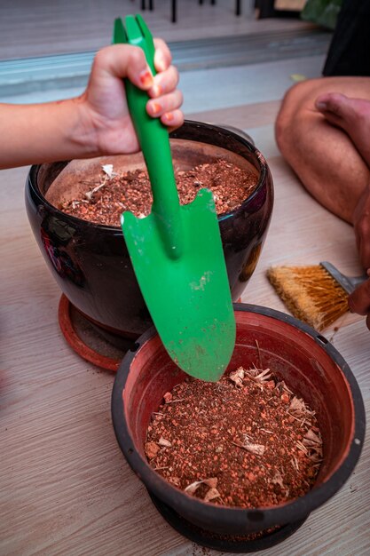 Foto giardinaggio a casa trasferire il suolo da un vaso all'altro