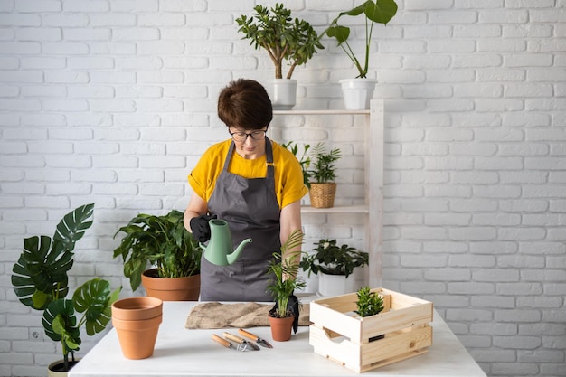 Женщина-садовник пересаживает и поливает зеленое растение из лейки в домашнем зеленом горшке