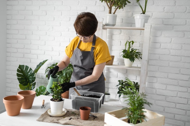 ガーデニングの家庭の女性が家の鉢植えの緑の計画で水まき缶から緑の植物を植え替えて水をまく