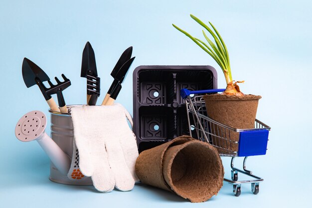 Gardening layout on a blue background . Preparation for the summer season. Planting seedlings. Blue background.