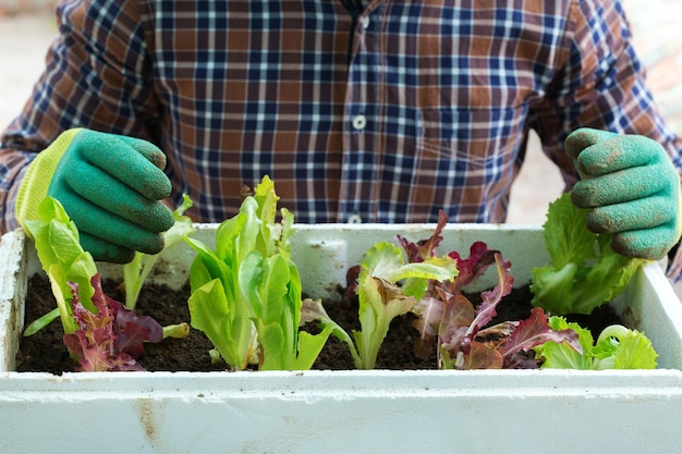 Gardening man activity stimulating mental health