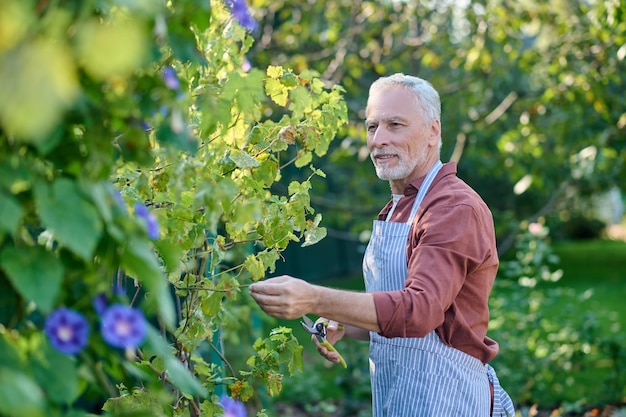 Садоводство. Мужчина средних лет работает в саду с инвентарем gtareden