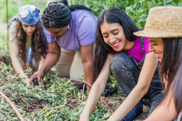 유기농 도시 정원에서 원예 다민족 라틴 쿠바 베네수엘라 히스패닉 및 모로코 여성