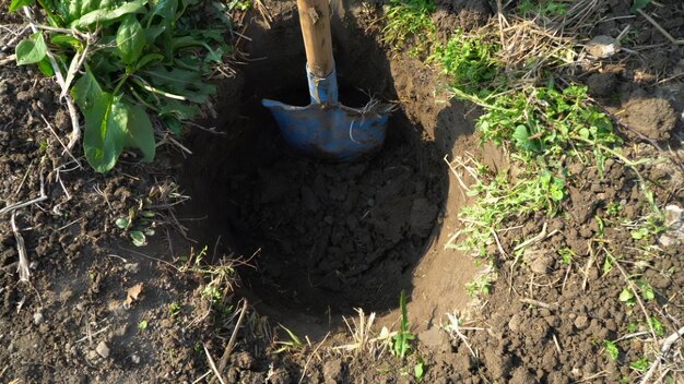 gardening planting and agriculture concept close up of shovel digging hole