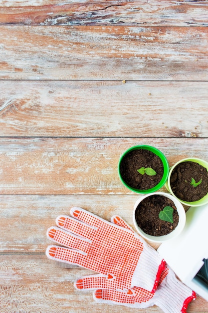 Concetto di giardinaggio e piantagione - primo piano di piantine, guanti da giardino sul tavolo