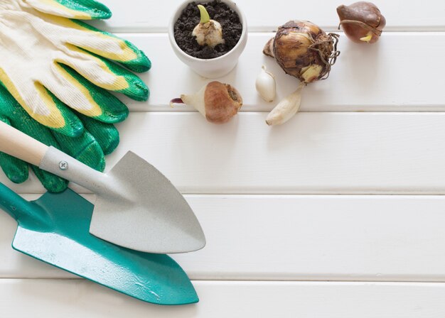 Gardening scoop with flowers plant on wooden background