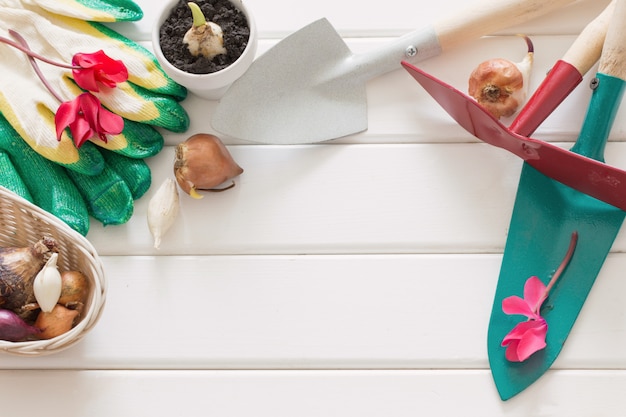 Photo gardening scoop with flowers plant on wooden table