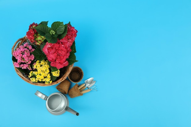 Gardening tools and accessories on blue background