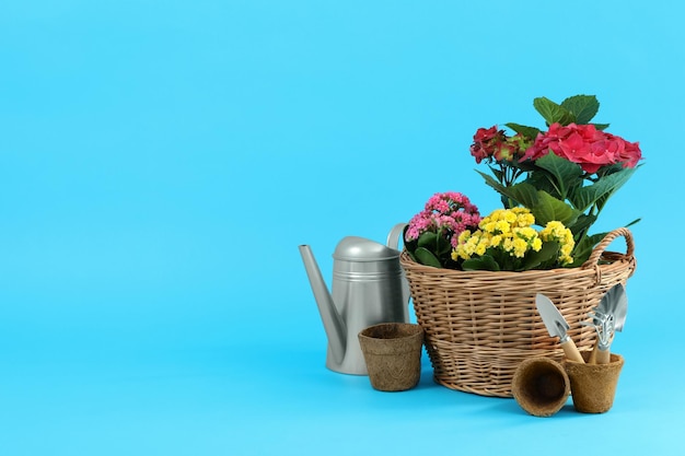 Gardening tools and accessories on blue background