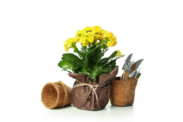 Gardening tools and accessories isolated on white background