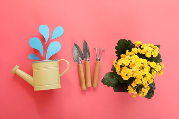 Attrezzi e accessori da giardinaggio su sfondo rosa