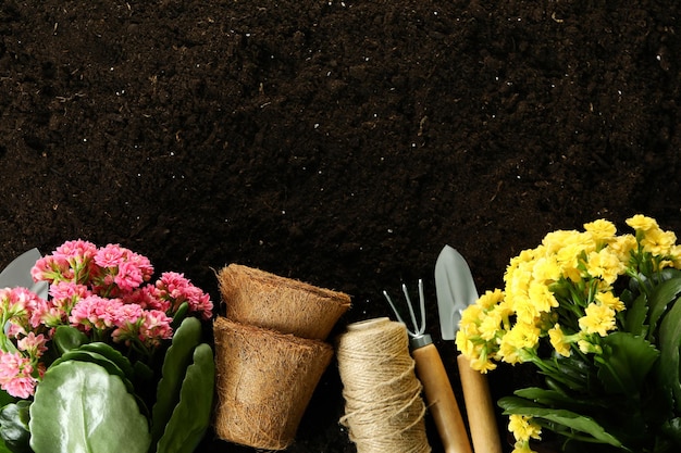 Gardening tools and accessories on soil background