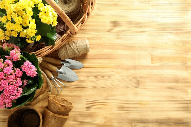 Gardening tools and accessories on wooden table