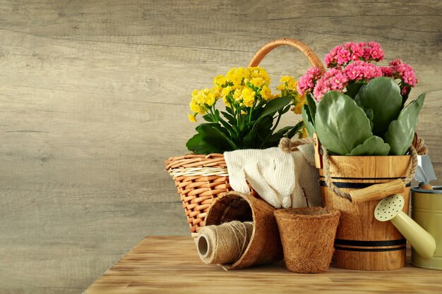 Gardening tools and accessories on wooden table