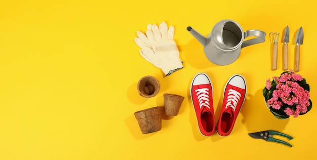 Gardening tools and accessories on yellow background