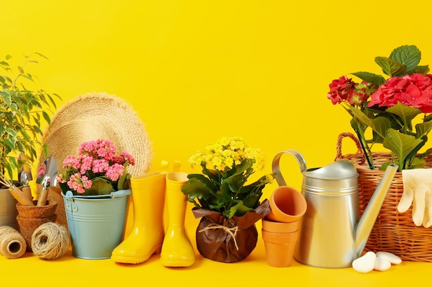 Gardening tools and accessories on yellow background