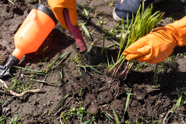 Gardening tools on fertile soil texture background seen from above. Gardening or planting concept. Working in the spring garden.