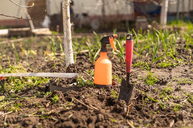 Gardening tools on fertile soil texture background seen from above. Gardening or planting concept. Working in the spring garden.