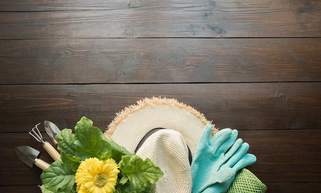 Gardening tools, flowers, gloves and soil on wooden board. Spring and work in the garden.